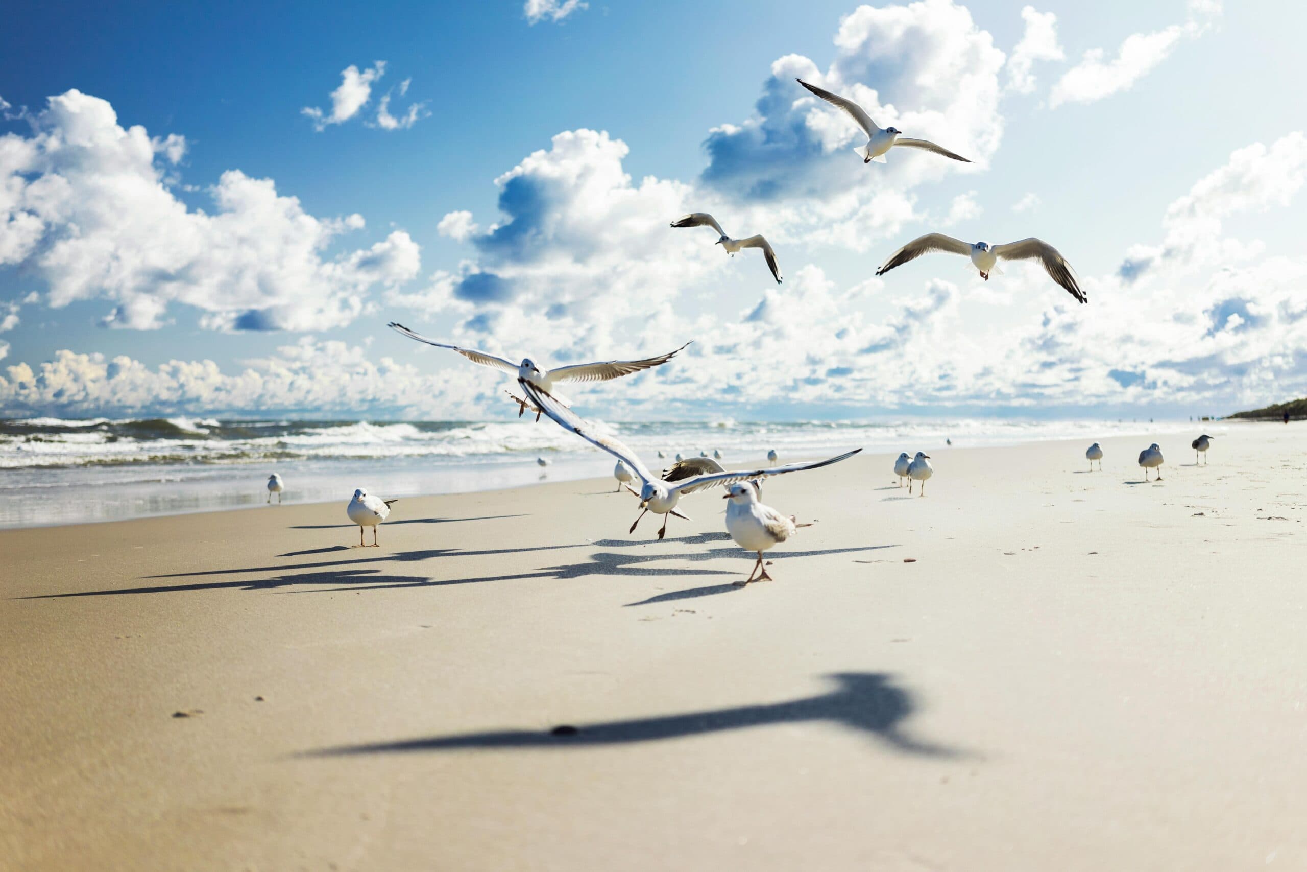 Why Snowbirds are Flocking to MiniStays